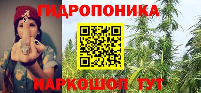 Альфа ПВП Пушкино