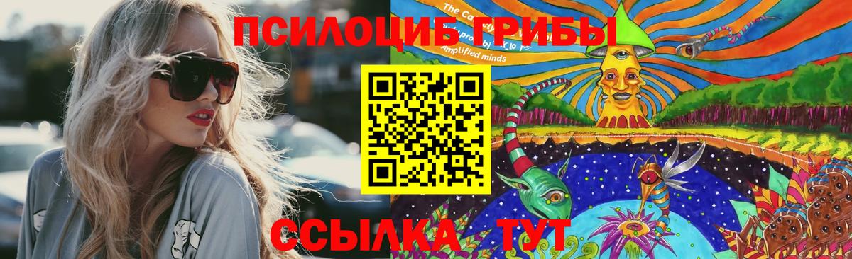 Рубцовск  Галлюциногенные грибы Psilocybine cubensis  Вход с VPN 